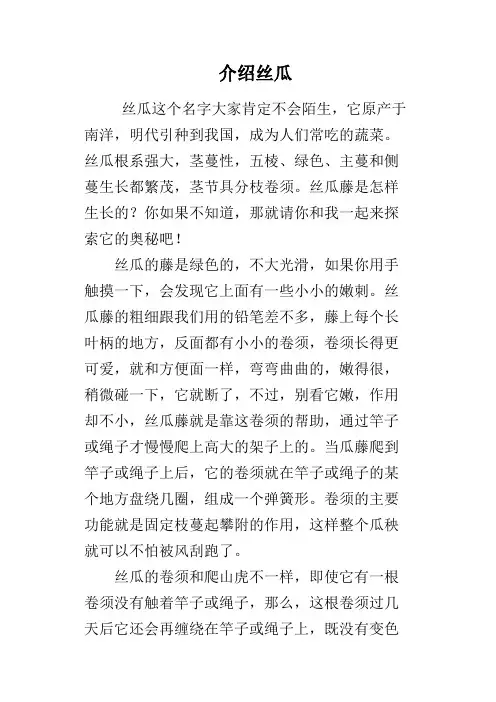 介绍丝瓜