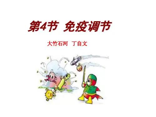 高中生物2-4免疫调节 优秀课件2