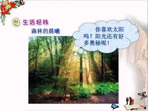 一年级品德与生活下册我们和太阳做游戏(二)课件之一新人教版