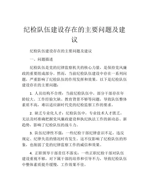 纪检队伍建设存在的主要问题及建议
