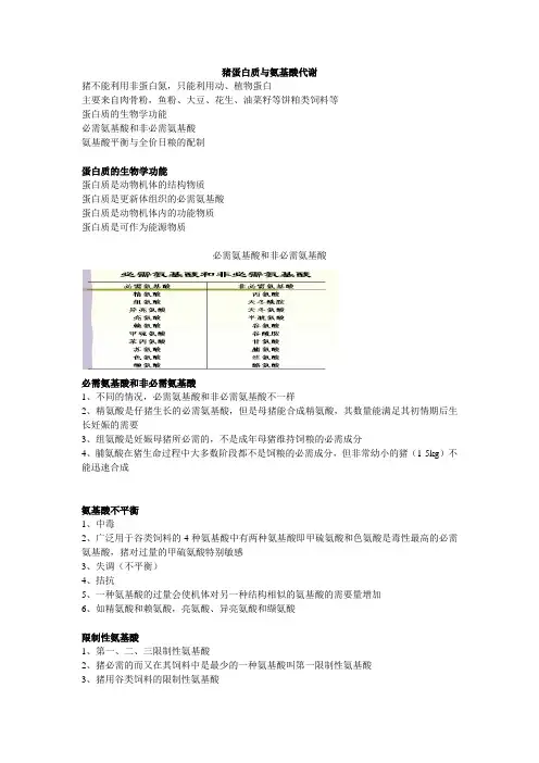猪蛋白质与氨基酸代谢