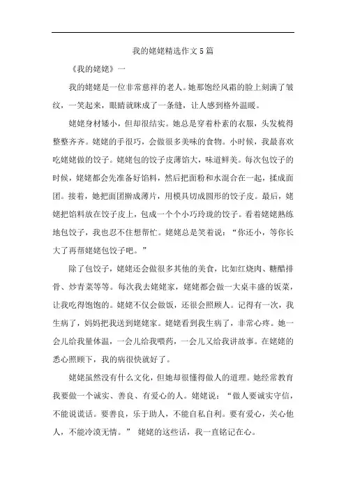我的姥姥精选作文5篇