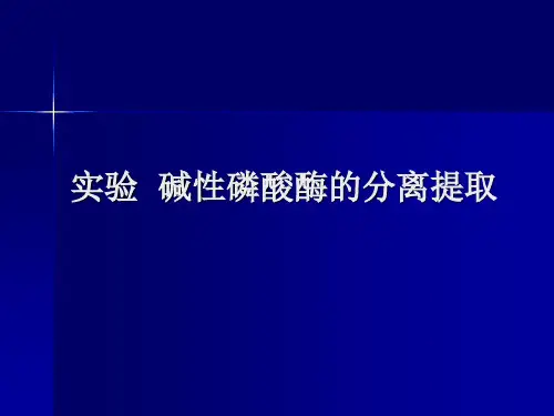 碱性磷酸酶的分离提取及比活力的测定