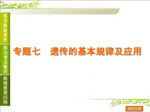 2014届高考生物二轮复习方案(浙江)：专题七 遗传的基本规律及应用