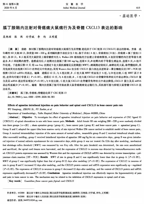 胍丁胺鞘内注射对骨癌痛大鼠痛行为及脊髓CXCL13表达的影响