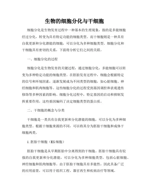 生物的细胞分化与干细胞