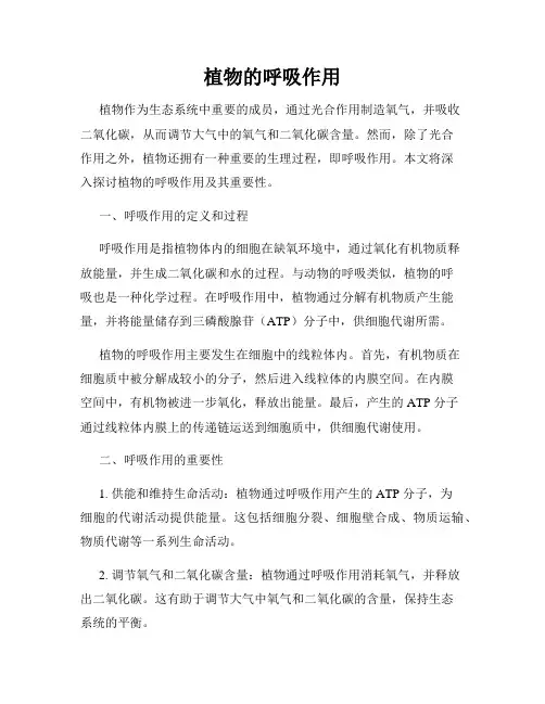 植物的呼吸作用