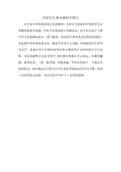 写好汉字,做合格的中国人
