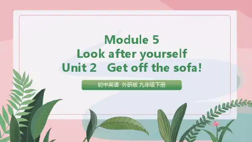 初中英语外研版九年级下册《Module 5 Look after yourself Unit 2 G
