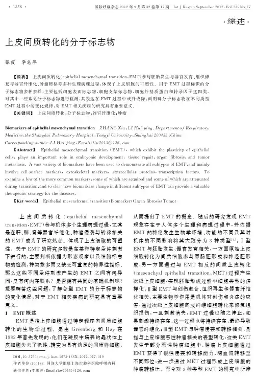 上皮间质转化的分子标志物