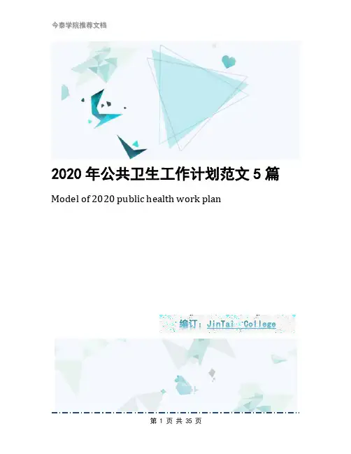 2020年公共卫生工作计划范文5篇