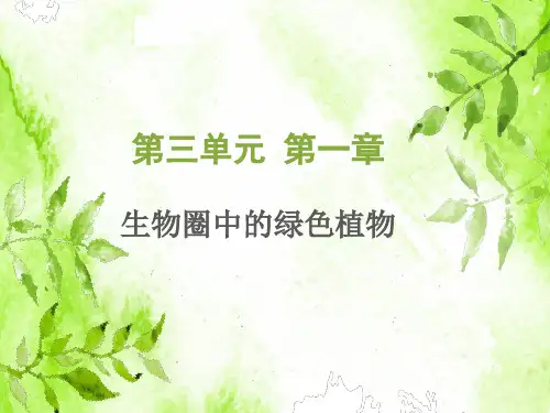 七上 第三单元  第一章  生物圈中有哪些绿色植物