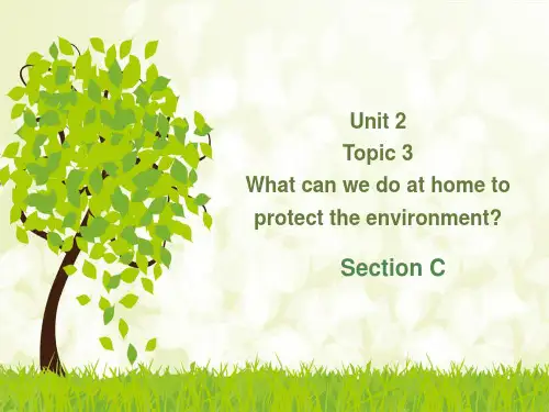 仁爱版九年级英语上册 Unit 2 Topic 3 Section C 课件
