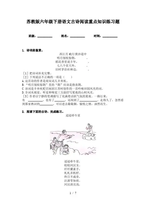 苏教版六年级下册语文古诗阅读重点知识练习题