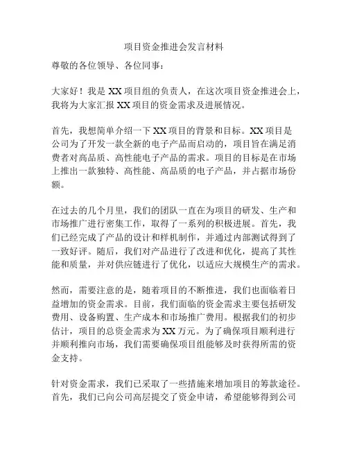 项目资金推进会发言材料