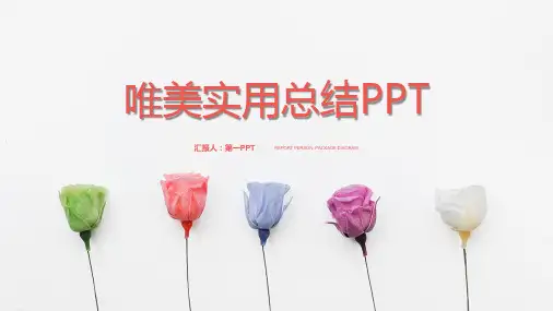 清新玫瑰花背景的唯美幻灯片模板免费下载2套