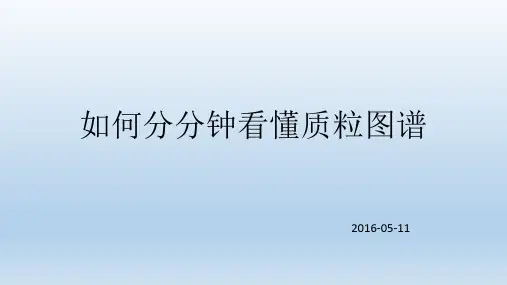 质粒图谱的阅读