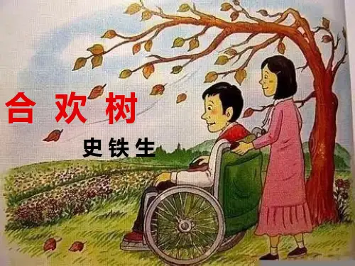 《合欢树》全新ppt课件