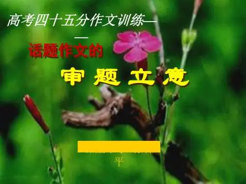 高中话题作文的审题立意 PPT课件 3