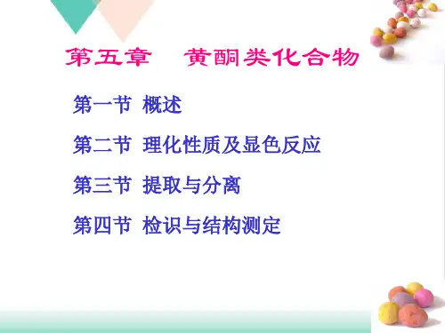 天然药化黄酮类化合物PPT培训课件