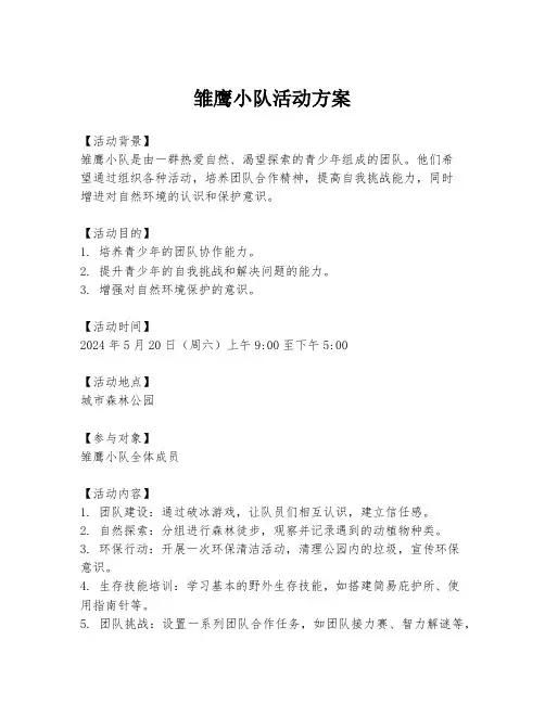 雏鹰小队活动方案