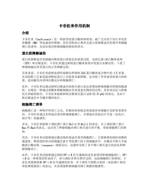 卡非佐米作用机制