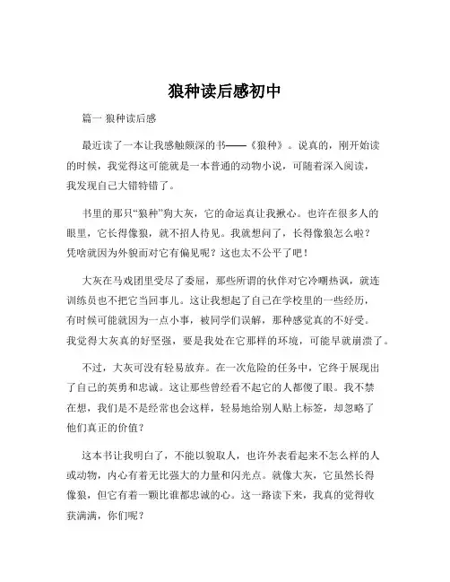 狼种读后感初中