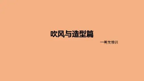 美发培训吹风与造型篇PPT课件