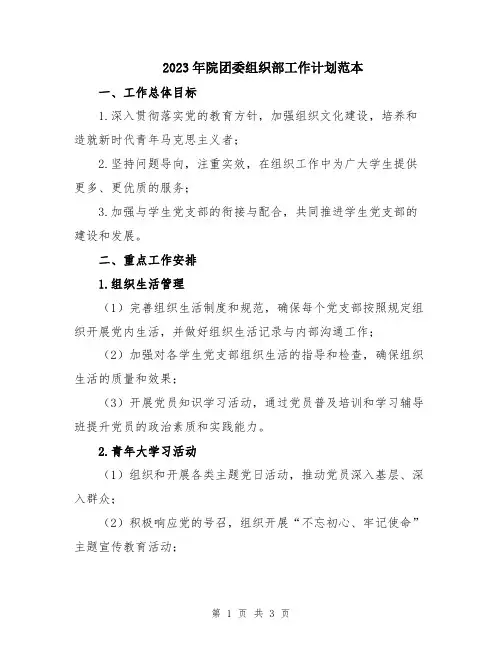 2023年院团委组织部工作计划范本