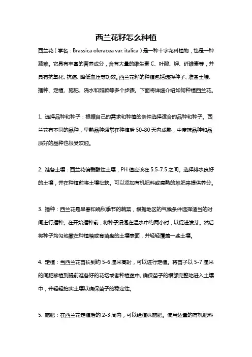 西兰花籽怎么种植