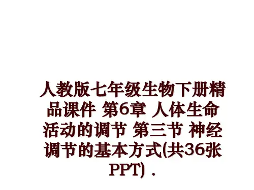 最新人教版七年级生物下册精品课件 第6章 人体生命活动的调节 第三节 神经调节的基本方式(共36张P