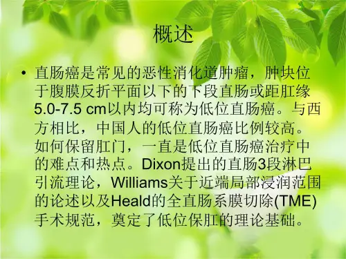 低位直肠癌保肛ppt课件