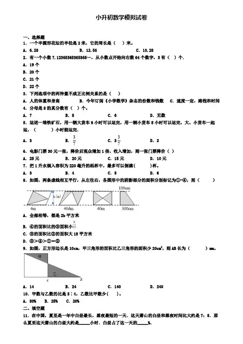 (精选3份合集)2020年河南省南阳市数学小升初学业水平测试模拟试题