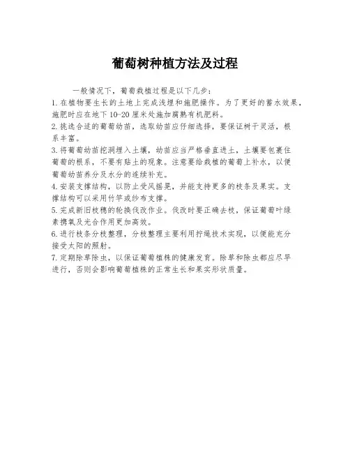 葡萄树种植方法及过程