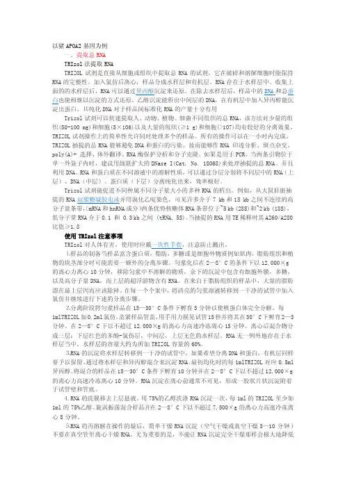 基因克隆过程及注意事项
