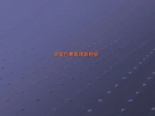 第三节 金黄色葡萄球菌检验ppt课件