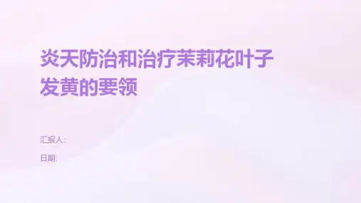 炎天防治和治疗茉莉花叶子发黄的要领