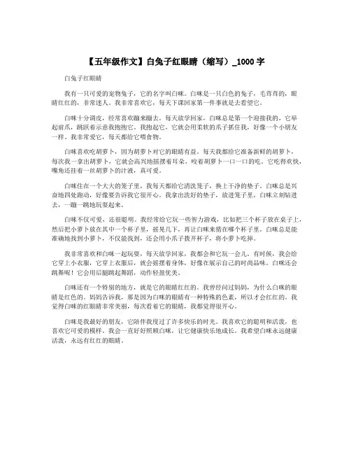 【五年级作文】白兔子红眼睛(缩写)_1000字