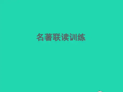 中考语文名著联读训练A组B组课件
