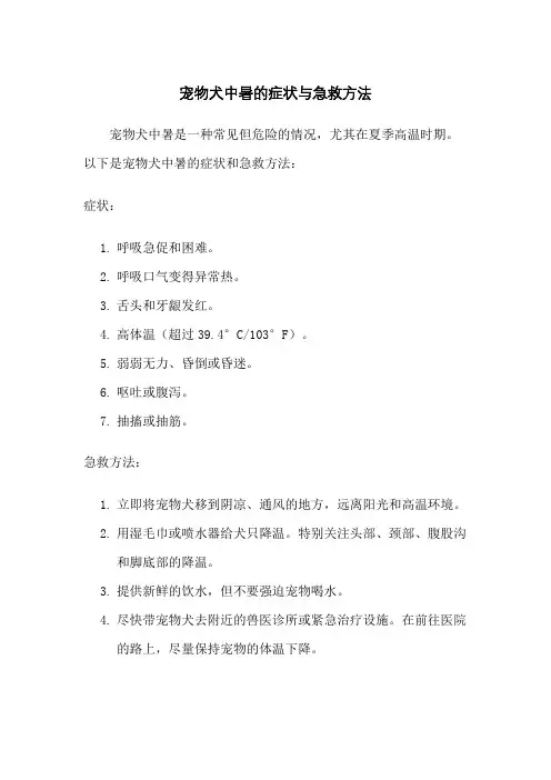 宠物犬中暑的症状与急救方法