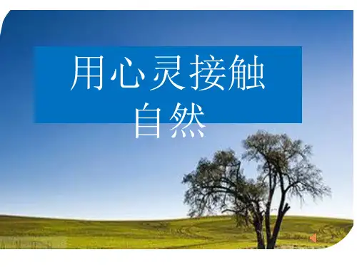 苏少版八年级美术上册教学课件-第 2 课 用心灵接触自然 