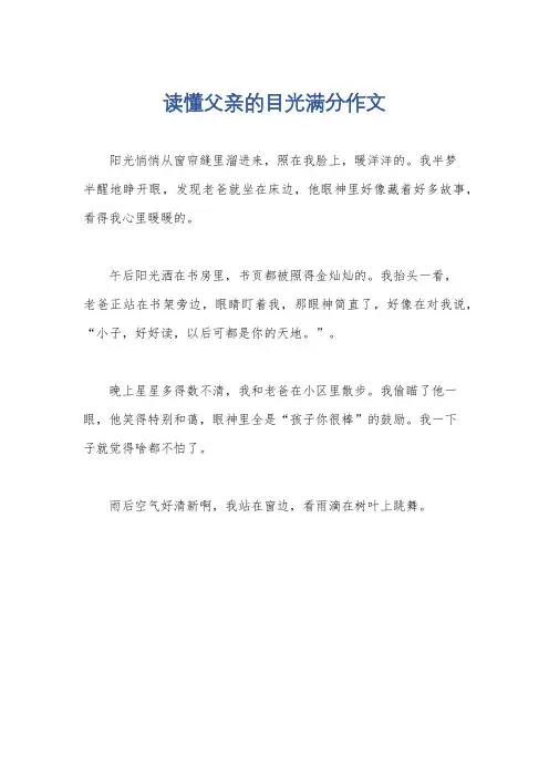 读懂父亲的目光满分作文