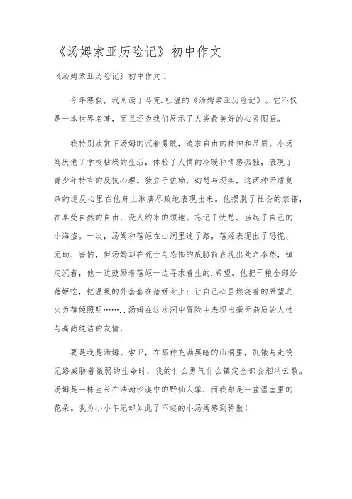 《汤姆索亚历险记》初中作文