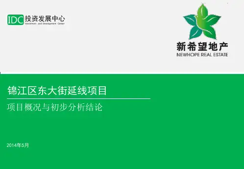 锦江东大街沿线地块分析