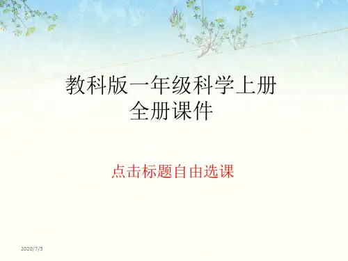 教科版一年级科学上册全册课件