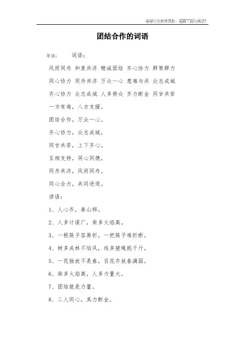 团结合作的词语