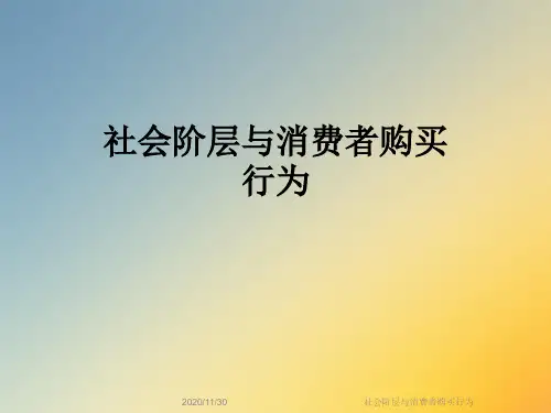 社会阶层与消费者购买行为