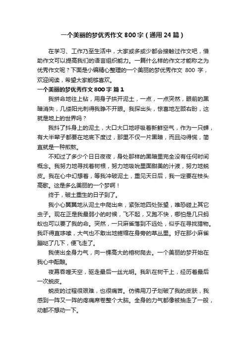 一个美丽的梦优秀作文800字（通用24篇）