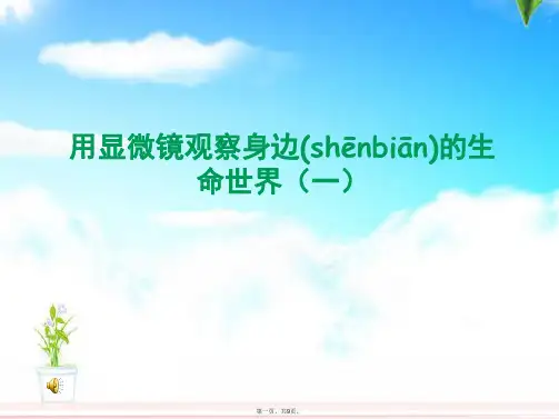 教科版六年级下册科学《用显微镜观察身边的生命世界(一)》课件1