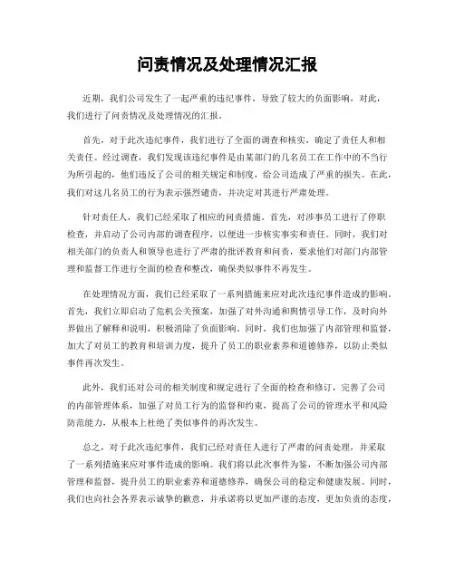 问责情况及处理情况汇报
